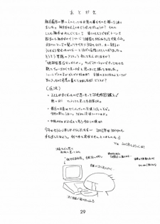 (C61) [BLACK DOG (Kuroinu Juu)] Red Hot Chili Pepper (Bishoujo Senshi Sailor Moon) - page 28