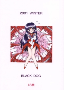(C61) [BLACK DOG (Kuroinu Juu)] Red Hot Chili Pepper (Bishoujo Senshi Sailor Moon) - page 30