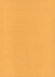 (SC34) [Renai Mangaka (Naruse Hirofumi)] Code XXX (CODE GEASS: Lelouch of the Rebellion) - page 20