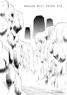 (CR21) [T-press (ToWeR)] LEGEND WILL NEVER DIE (SoulCalibur) - page 4