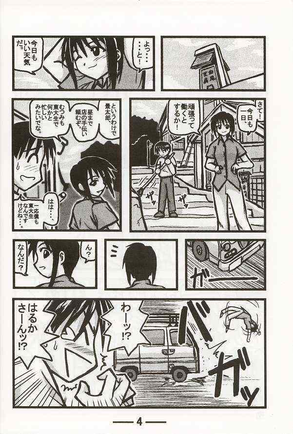 [Daitoutaku (Nabeshima Mike)] Haruka Oneesan S (Love Hina) page 4 full
