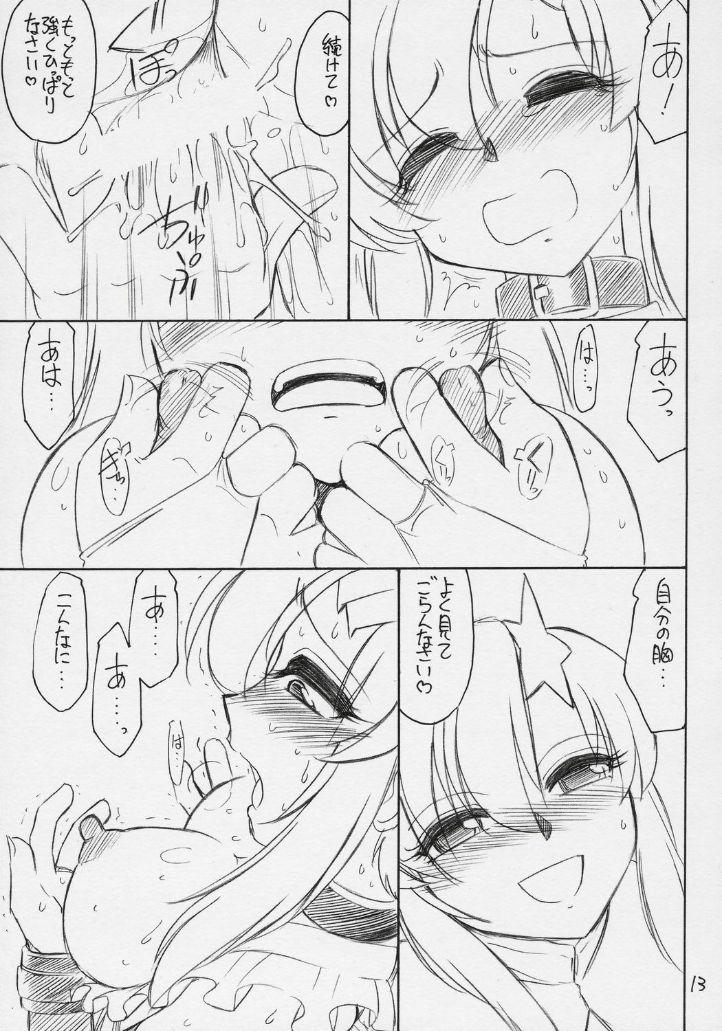 (C71) [EINSATZ GRUPPE (Charlie Nishinaka)] PRISONER 9 Pet (Mobile Suit Gundam SEED Destiny) page 14 full