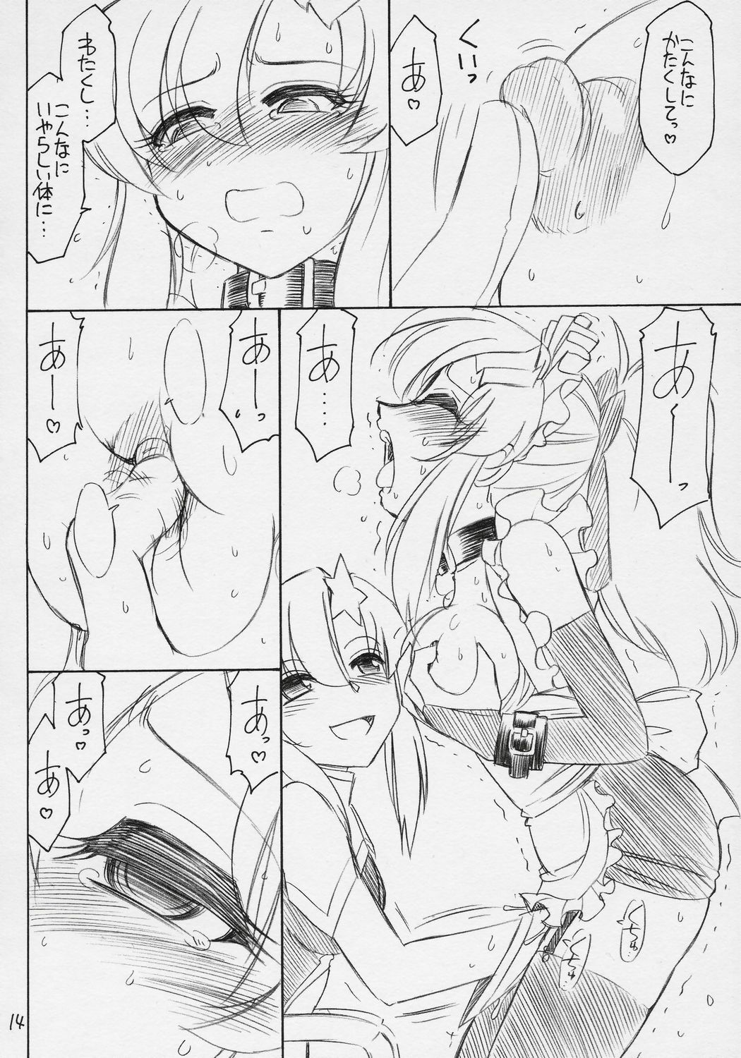 (C71) [EINSATZ GRUPPE (Charlie Nishinaka)] PRISONER 9 Pet (Mobile Suit Gundam SEED Destiny) page 15 full