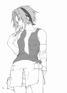 (C68) [Giroutei (Shijima Yukio)] Giroutei Nu (Naruto) - page 14