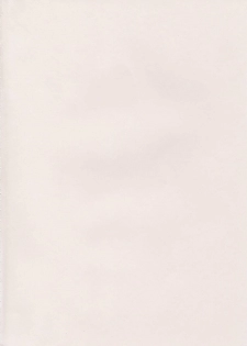 [Studio Kimigabuchi (Kimimaru)] Ja Ja Ja Ja Japan 2 (Yakitate!! Japan) - page 2