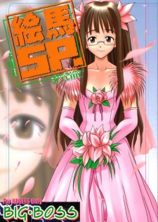 [BIG BOSS (Hontai Bai)] Ema SP (Love Hina)