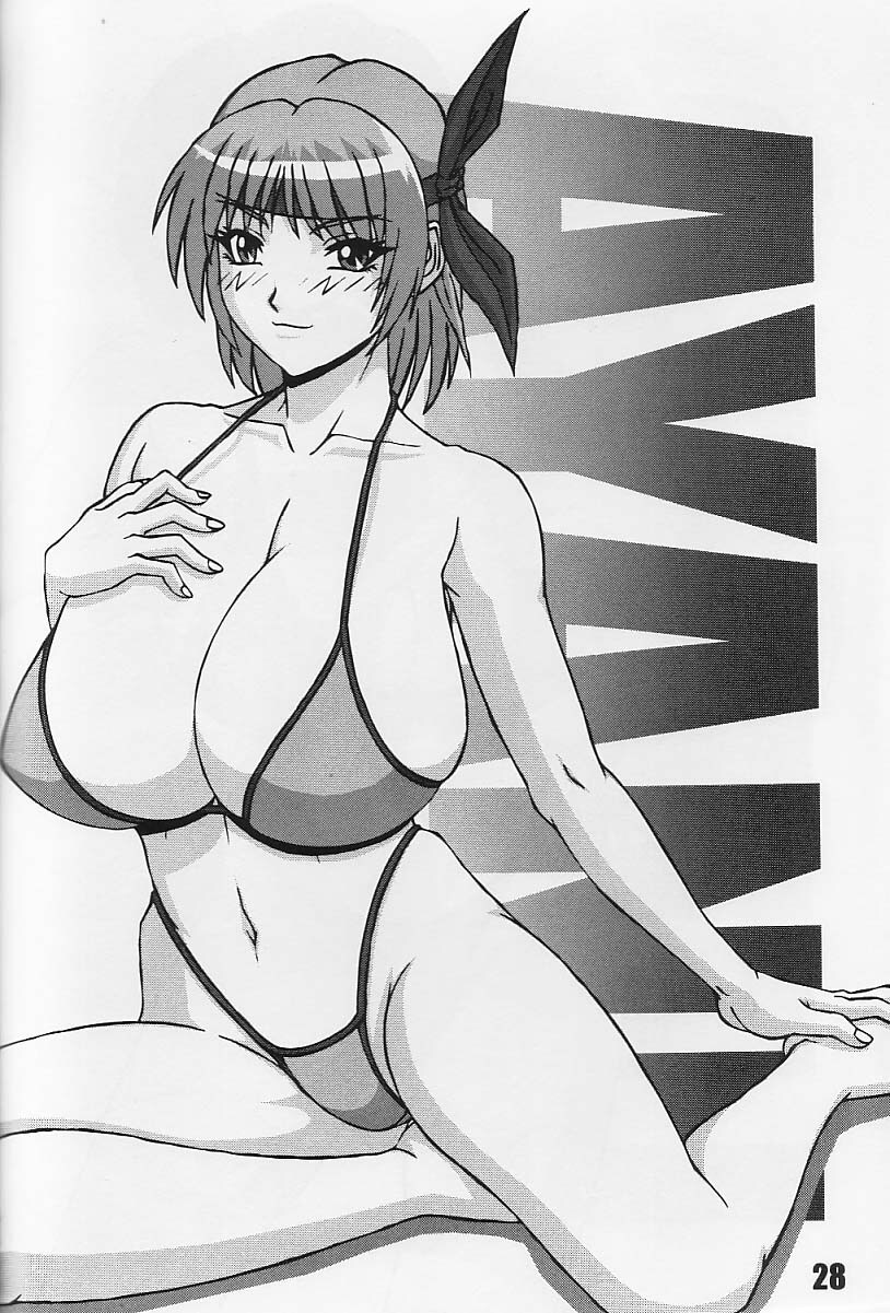 [P-LAND (PONSU)] P-LAND ROUND 10 (Dead or Alive Xtreme Beach Volleyball) [English] page 28 full