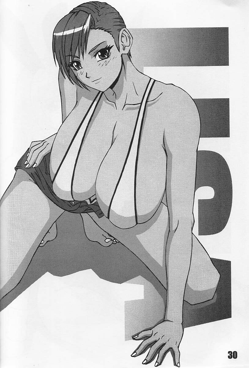 [P-LAND (PONSU)] P-LAND ROUND 10 (Dead or Alive Xtreme Beach Volleyball) [English] page 30 full