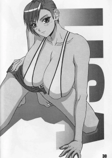 [P-LAND (PONSU)] P-LAND ROUND 10 (Dead or Alive Xtreme Beach Volleyball) [English] - page 30
