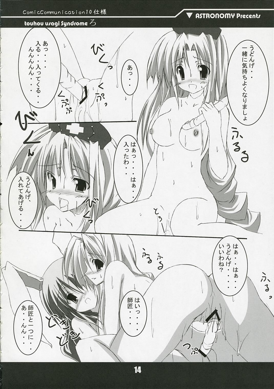 (ComiComi10) [ASTRONOMY (SeN)] touhou usagi Syndrome Ro (Touhou Project) page 14 full