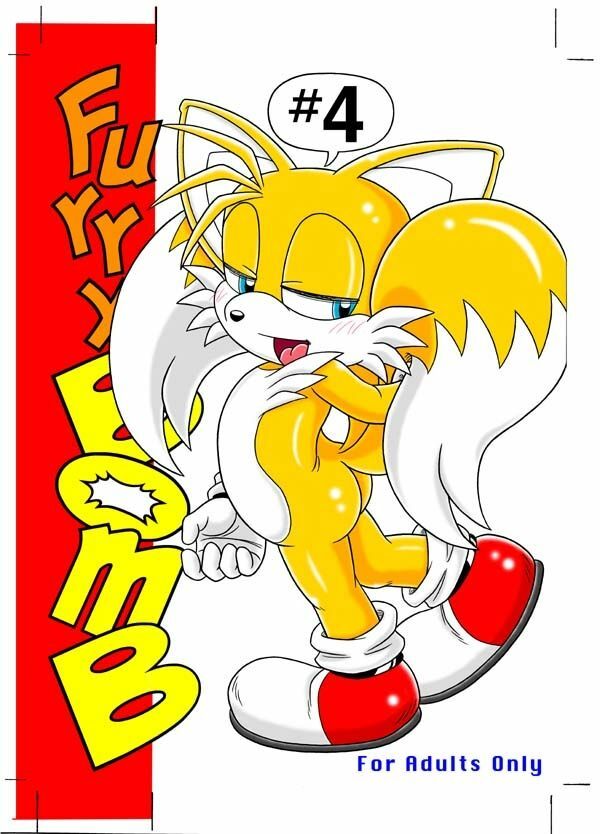 (C70) [Furry Bomb Factory (Karate Akabon)] Furry BOMB #4 (Sonic the Hedgehog) page 2 full