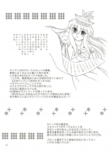 (SC29) [Chaos Panic (Yuuki Aketo)] Mawaru Mawaru Kaze ni Notte Mawaru Mawaru Kirisakareru | Riding the wind round and round, cutting things up round and round (Touhou Project) - page 19