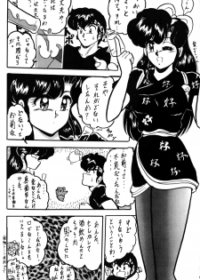 (C43) [L-Gauge Sha (Shouryuu)] WA 2 (Ranma 1/2, Bastard) - page 11