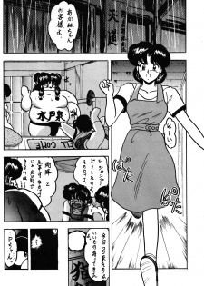 (C43) [L-Gauge Sha (Shouryuu)] WA 2 (Ranma 1/2, Bastard) - page 39