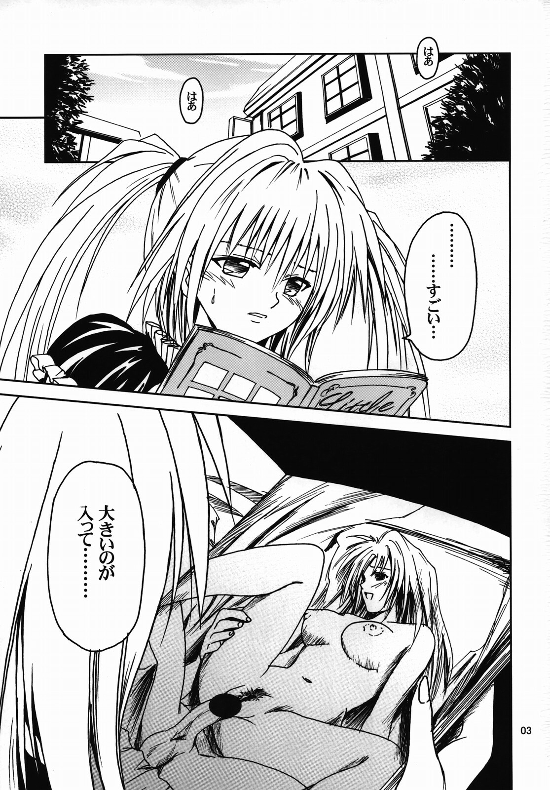 [S-Plus (SHIYAMI)] Hime no Kyuujitsu (Black Cat) page 2 full