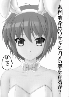 (C71) [U.R.C (MOMOYA SHOW-NEKO)] Nagato Yuki wa Usagi to Kame no Yume o Miru ka? (The Melancholy of Haruhi Suzumiya) - page 2