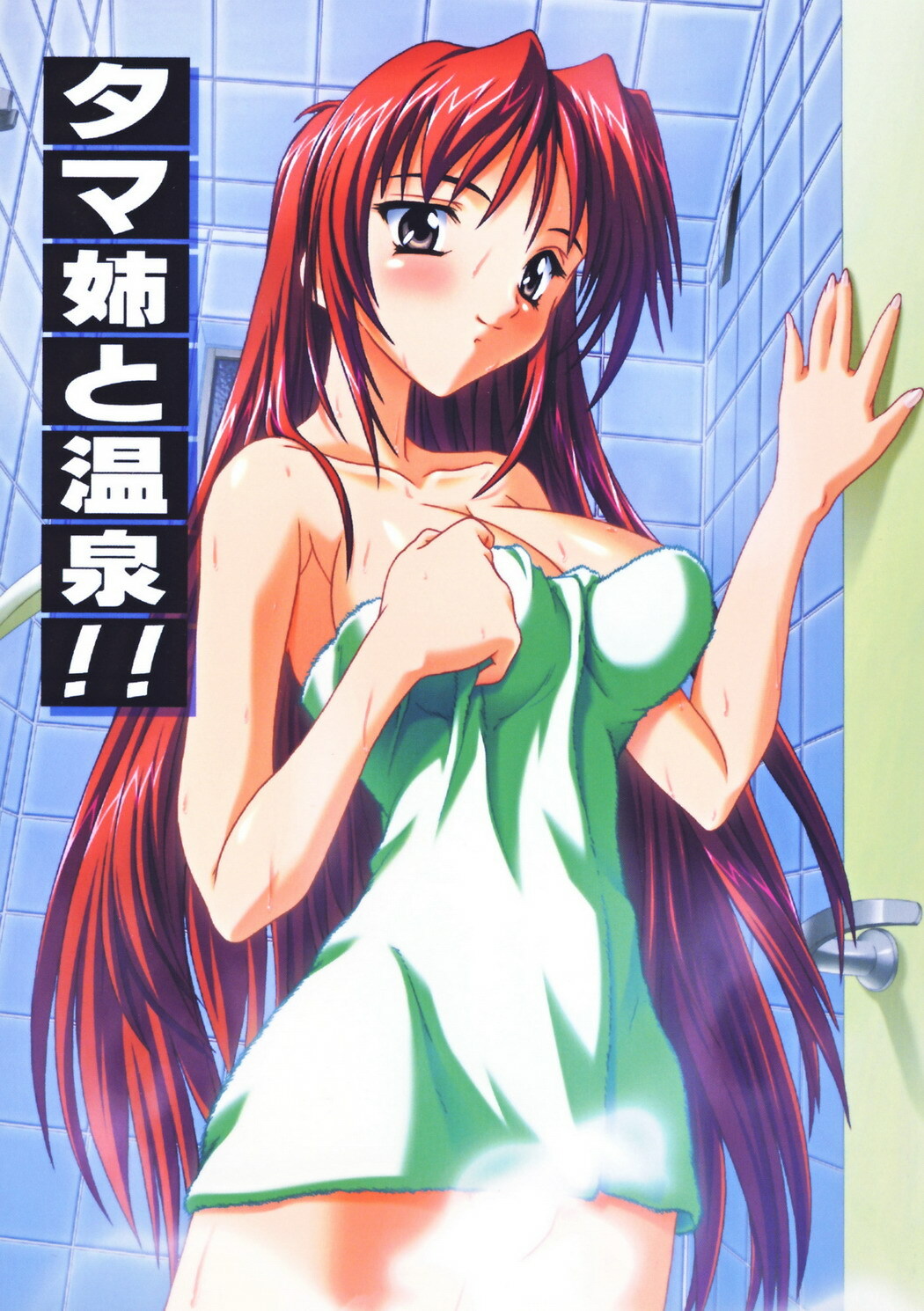 [Studio Q (Natsuka Q-Ya)] Tama-nee to Onsen!! (ToHeart2) page 1 full