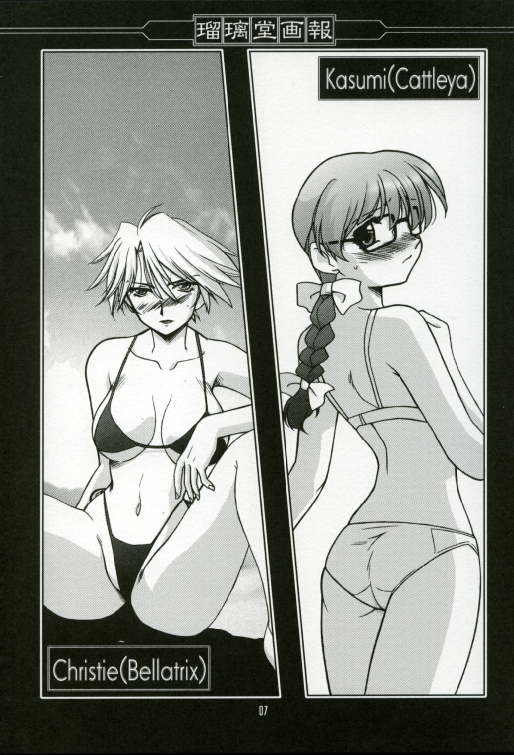 (C64) [UA Daisakusen, Lapislazuli=corporation (Harada Shoutarou)] Ruridou Gahou XX CODE:20 (Dead or Alive) page 6 full
