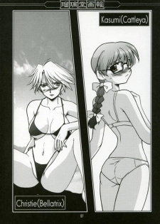 (C64) [UA Daisakusen, Lapislazuli=corporation (Harada Shoutarou)] Ruridou Gahou XX CODE:20 (Dead or Alive) - page 6