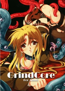 (Lyrical Magical 03) [Gin no Hoshitei (Tamiya Akito)] GrindCore (Mahou Shoujo Lyrical Nanoha)