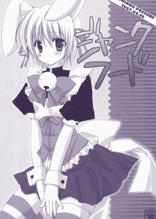 (C72) [Kokikko (Sesena Yau)] Junai Technician (Hayate no Gotoku!) - page 27