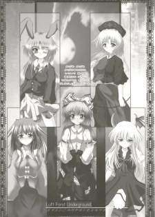 (C67) [Luft Forst (Kazami Rei)] Moe Touhou Gensokyo HANKONCYOU MAXX - Yuuga ni Midare, Shirozome no Hime. (Touhou Project) - page 15