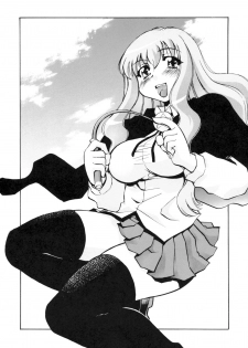 [Studio Wallaby (Nagisa Minami)] Zero no Sannin (Zero no Tsukaima) - page 4
