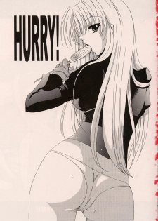 [Fantasy Wind (Shinano Yura)] HURRY! (King of Fighters) - page 2