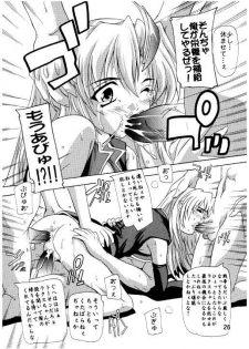 (C71) [Studio Q (Natsuka Q-Ya)] Lacus Destiny ~ Soushuuhen 3 (Gundam Seed Destiny) - page 23