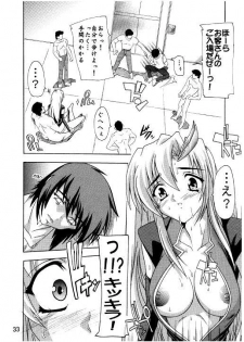 (C71) [Studio Q (Natsuka Q-Ya)] Lacus Destiny ~ Soushuuhen 3 (Gundam Seed Destiny) - page 30