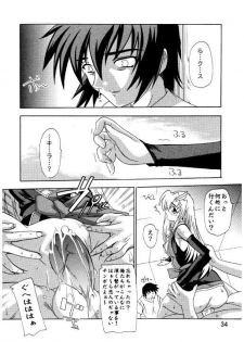(C71) [Studio Q (Natsuka Q-Ya)] Lacus Destiny ~ Soushuuhen 3 (Gundam Seed Destiny) - page 31