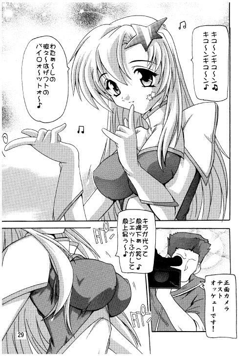 (C70) [Studio Q (Natsuka Q-Ya)] Lacus Destiny - Soushuuhen 2 (Gundam Seed Destiny) page 26 full