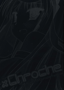 (C73) [D.N.A.Lab. (Miyasu Risa)] x Chroche (Ar tonelico II: Melody of Metafalica) - page 2
