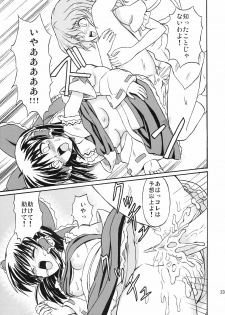 (Reitaisai 4) [Takakuya (Takaku Toshihiko)] Touhou Youjo Ranbu 8 (Touhou Project) - page 24