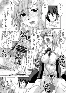 (C71) [GOLD RUSH (Suzuki Address)] A Diva of Healing (Gundam SEED DESTINY) - page 16