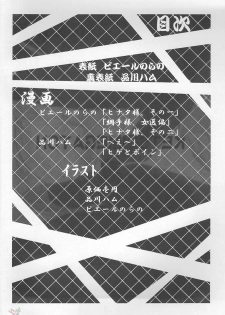 (C66) [Toluene Ittokan (Pierre Norano)] Ketsu! Megaton Nin (Naruto) [English] - page 3
