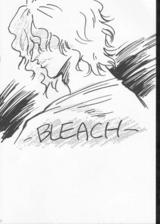 (C61) [Ginmomodou (Mita Satomi)] Yogosareta Gigai (Bleach) - page 22