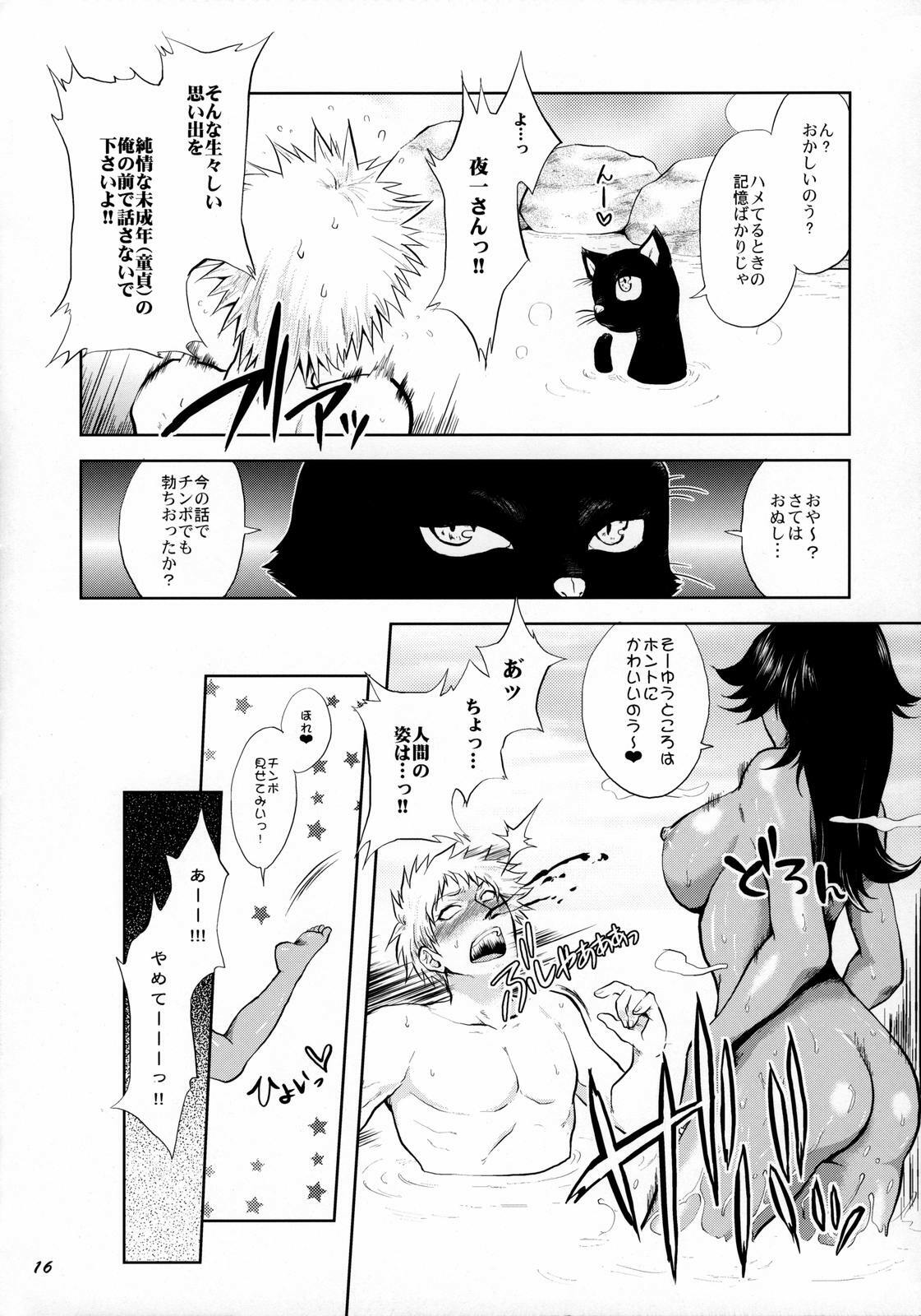 (C70) [Todd Special (Todd Oyamada)] Yukemuri NyanNyan Jiken (Bleach) page 16 full