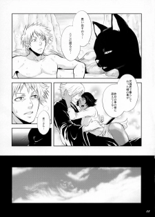 (C70) [Todd Special (Todd Oyamada)] Yukemuri NyanNyan Jiken (Bleach) - page 5