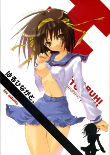 [Dendou Kodomo. (Kaname Arata)] HARUHINAGATO. (Suzumiya Haruhi no Yuuutsu)