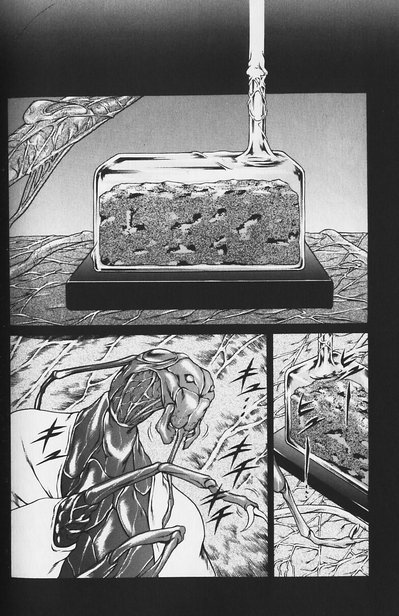 [Tuna Empire] Shiri Chichi page 119 full