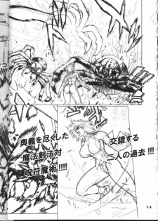 (CR31) [STUDIO LOUD IN SCHOOL (Hagiwara Kazushi)] BASTARD!! -ANKOKU NO HAKAIGAMI- KANZENBAN 02 ver.1.05 「YOKOKU HON」 - page 14