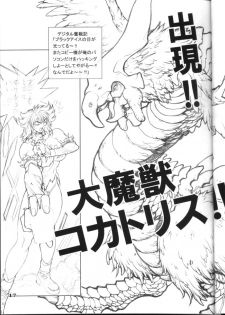 (CR31) [STUDIO LOUD IN SCHOOL (Hagiwara Kazushi)] BASTARD!! -ANKOKU NO HAKAIGAMI- KANZENBAN 02 ver.1.05 「YOKOKU HON」 - page 17