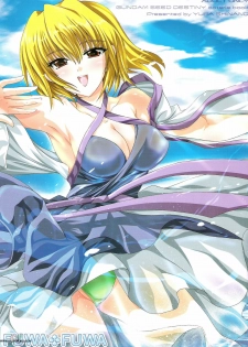 [FANTASY WIND (Shinano Yura)] FUWA+FUWA (Gundam SEED DESTINY) [English] [SaHa]