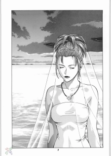 [Human High-Light Film (Jacky Knee de Ukashite Punch x2 Summer de GO!, Kika = Zaru)] Human High-light Film γ (Final Fantasy X) [English] [SaHa] - page 2