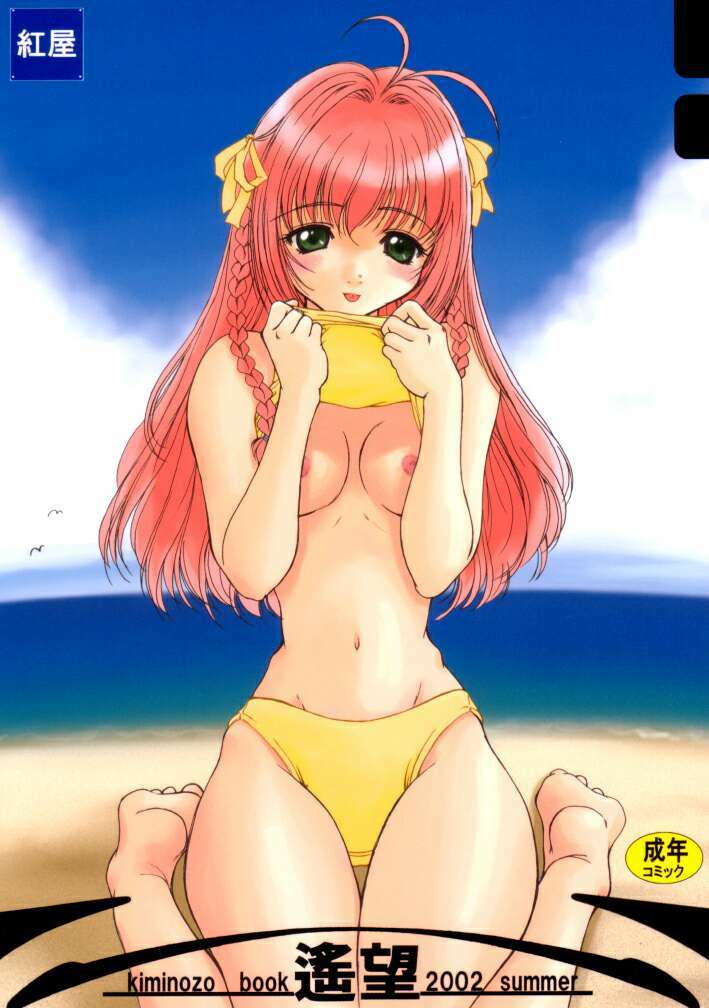 (C62) [Beniya (Kurenai Yuuki)] Haruka Nozo -Kiminozo Book 2002 Summer- (Kimi ga Nozomu Eien) page 1 full