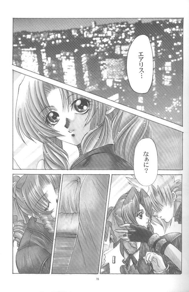 [SFT (Kawakami Takashi, Itou Nozomi)] KAWAKAMI 5 Nagashima (Final Fantasy VII, Dead or Alive 2) page 14 full