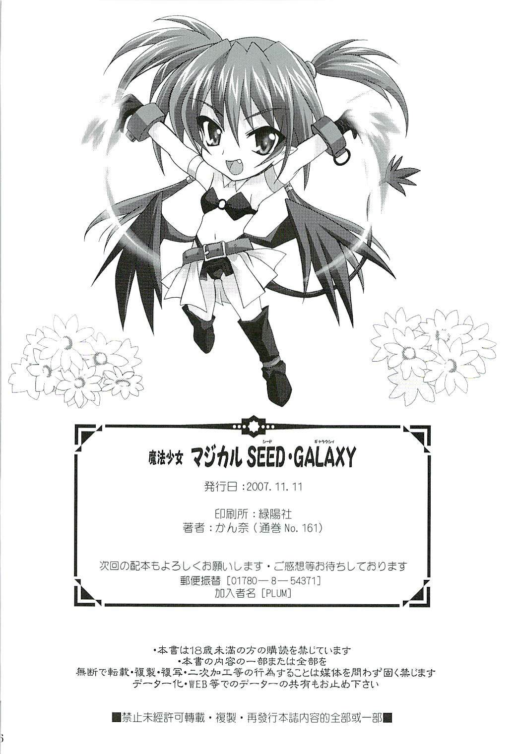 (Lyrical Magical 3) [PLUM (Kanna)] Mahou Shoujo Magical SEED GALAXY (Mahou Shoujo Lyrical Nanoha) page 25 full