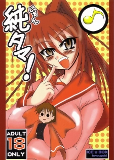 (C68) [Ice Box (Hyougaki)] Jun Tama! (ToHeart2)
