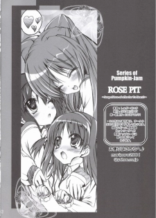 (C71) [SUGAR(S)POT (Sugar Picola)] ROSE PIT (ToHeart 2) - page 25